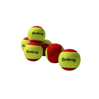 75% slower bounce suits 5 to 8 Red Spot Tennis Balls Stage 3 72 x Meister S3 