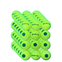 1 Carton (72 x) STAGE 1 MEISTER TENNIS BALLS GREEN DOT
