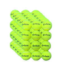 1 Carton (72 x) PRESSURELESS MEISTER TENNIS BALLS