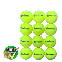 12 x PRESSURELESS MEISTER TENNIS BALLS