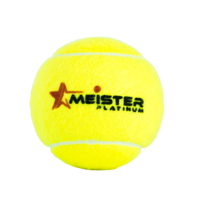 Tennis Professionals